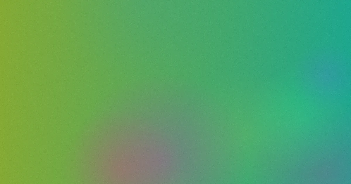 沙滩上的男孩测评：避坑流程